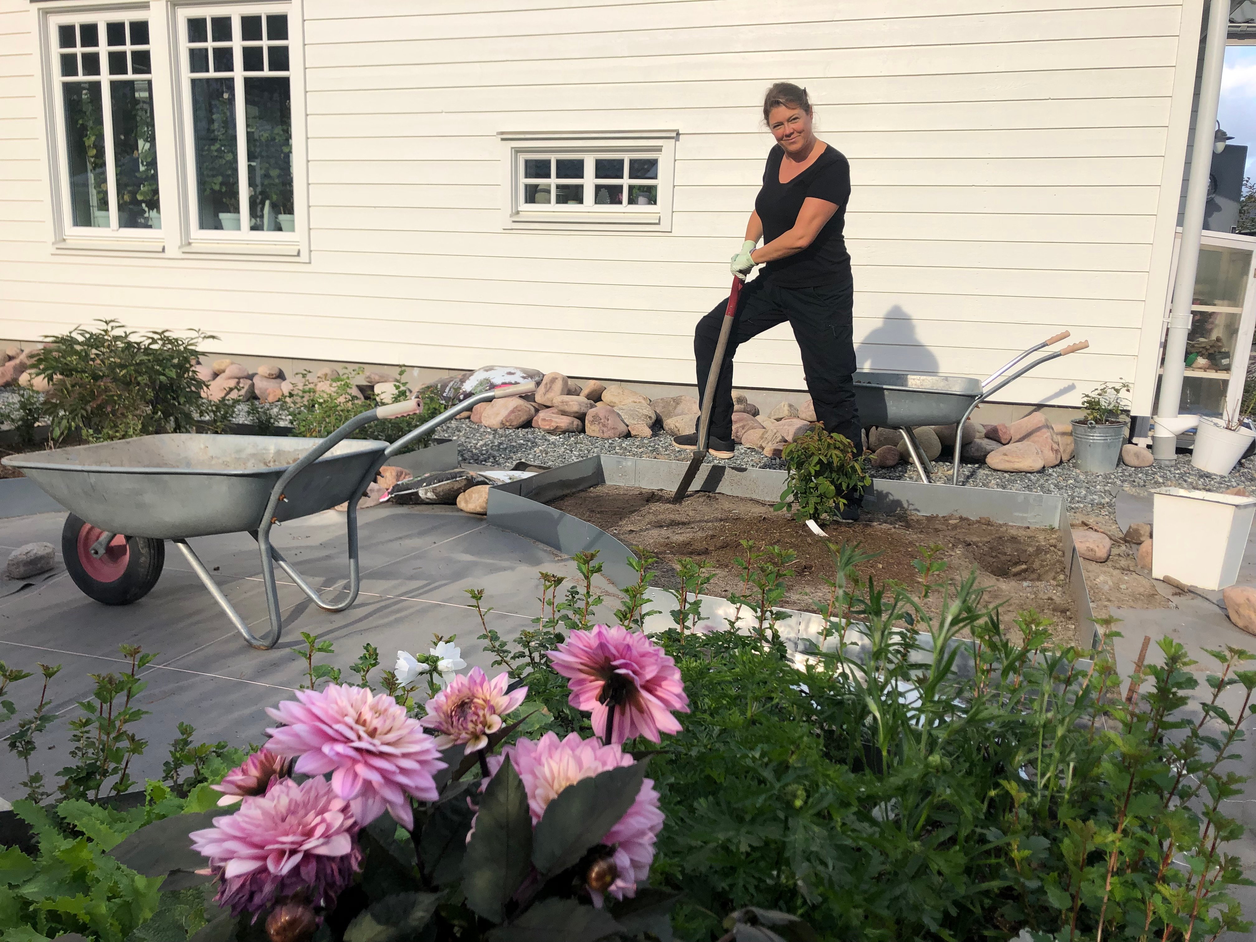 Sara trädgården